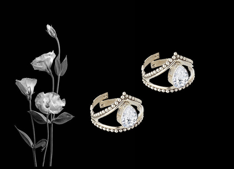 2147 ZIRCON