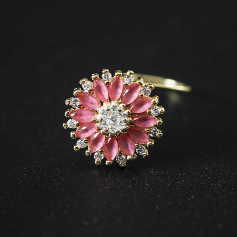17761 RUBY