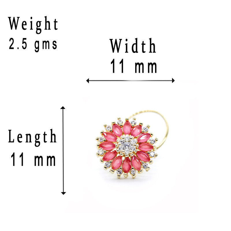 17761 RUBY
