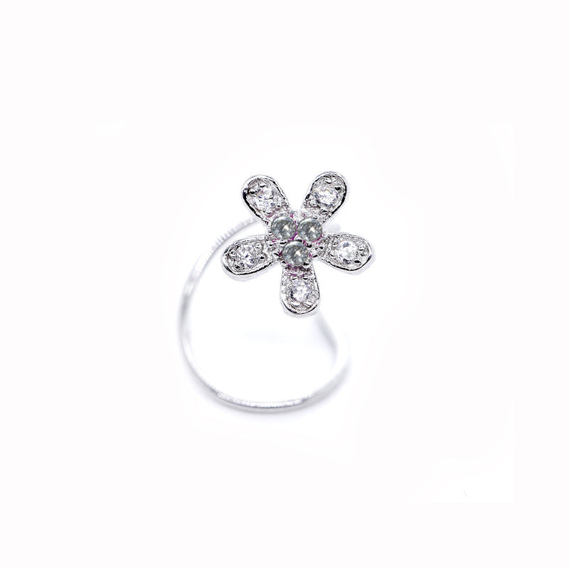 17818 ZIRCONIA