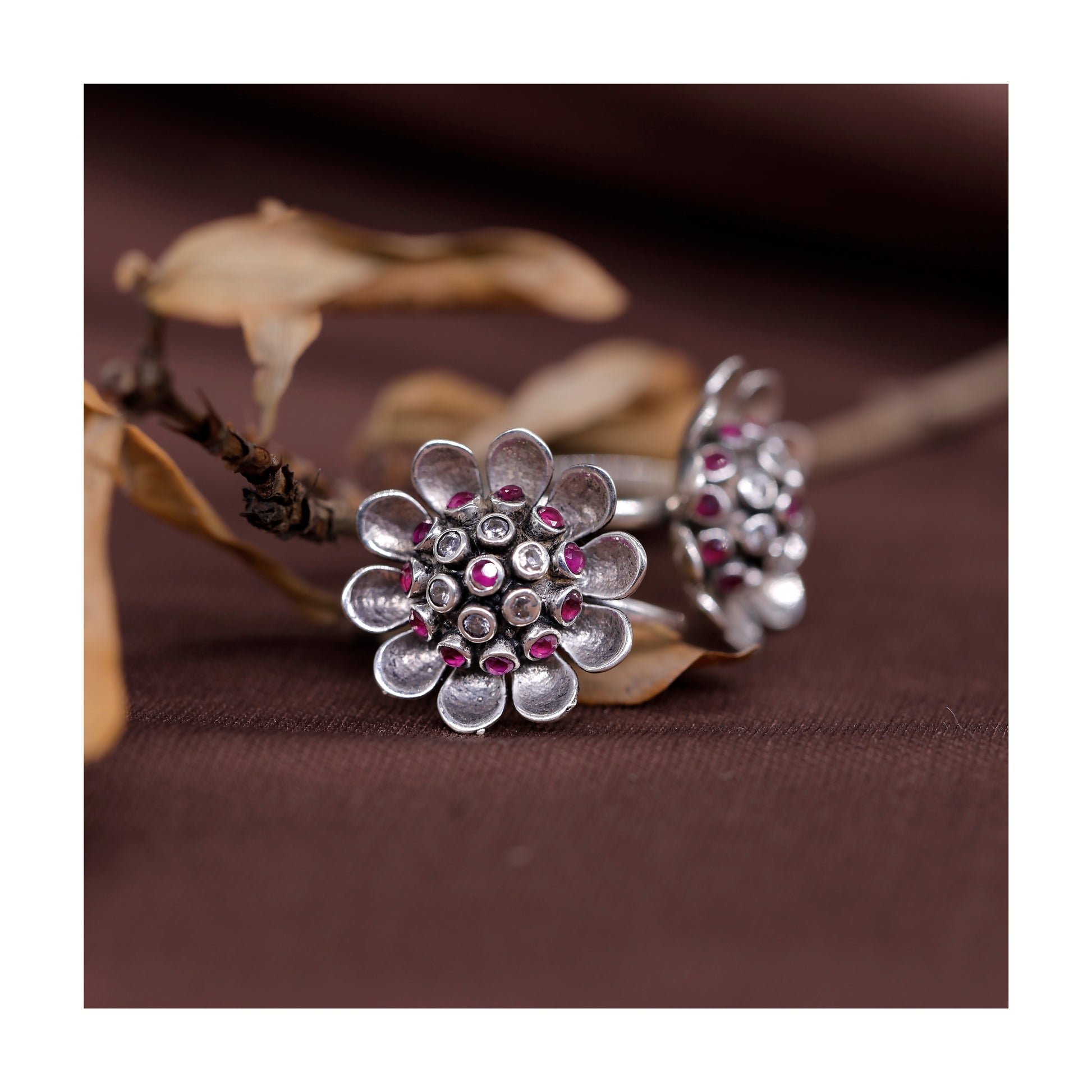 2228 Ruby+Zircon