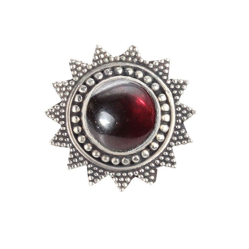 3007 Garnet