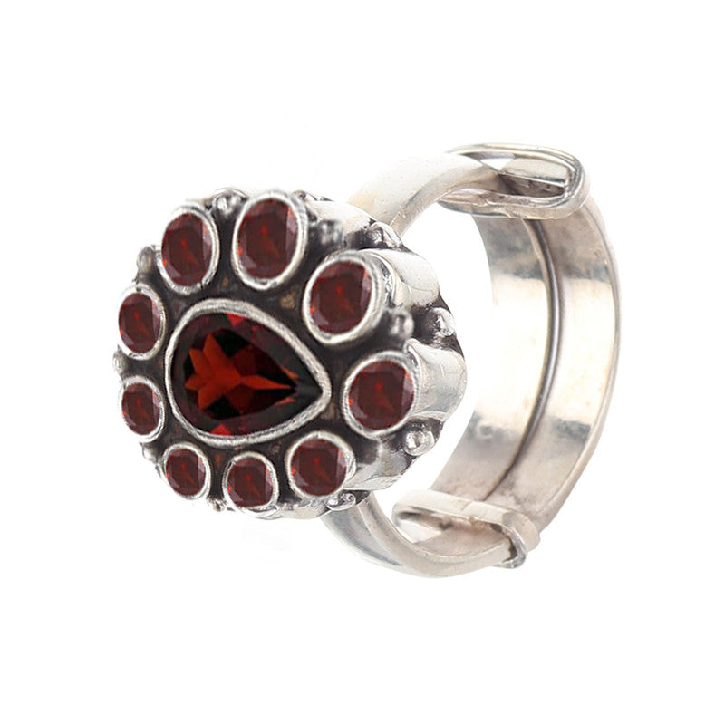 3038 Garnet