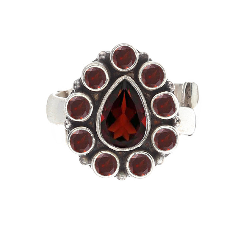 3038 Garnet