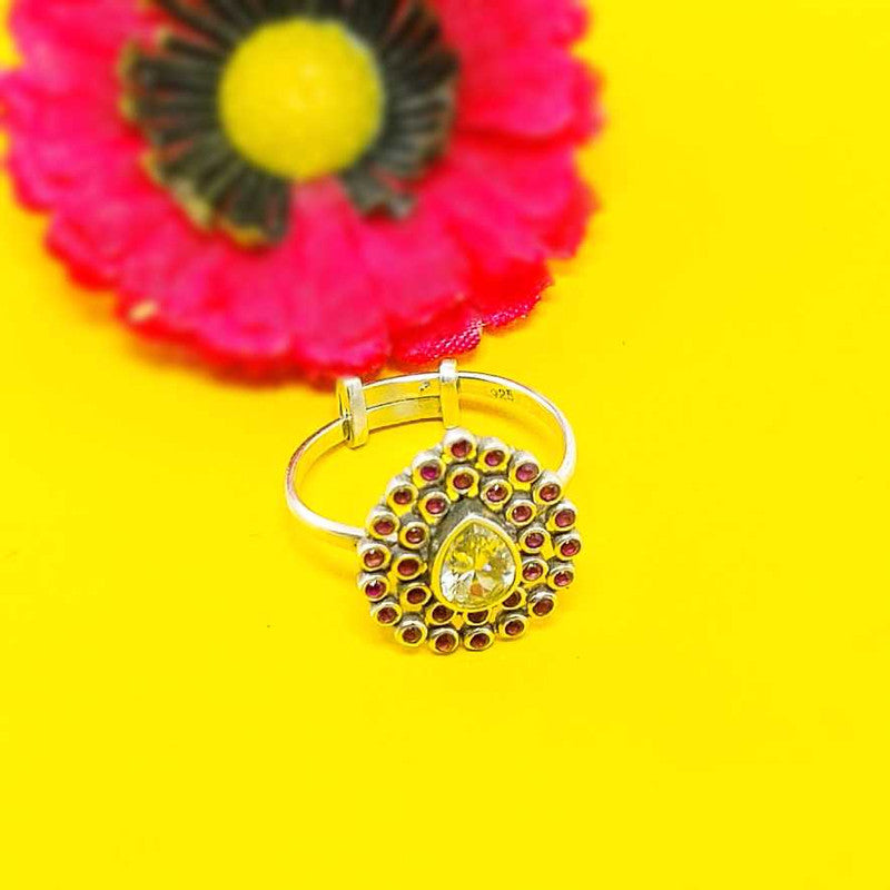 3091 Zircon+Ruby