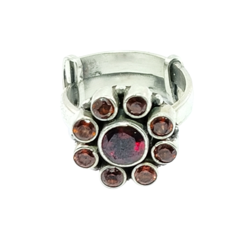 3162 Garnet