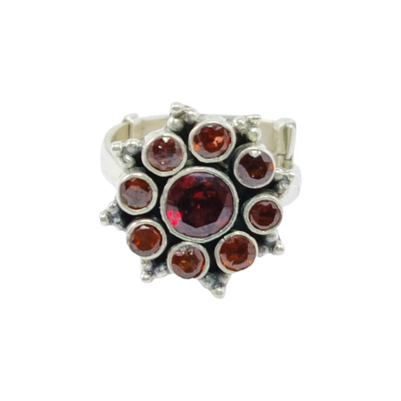3224 Garnet