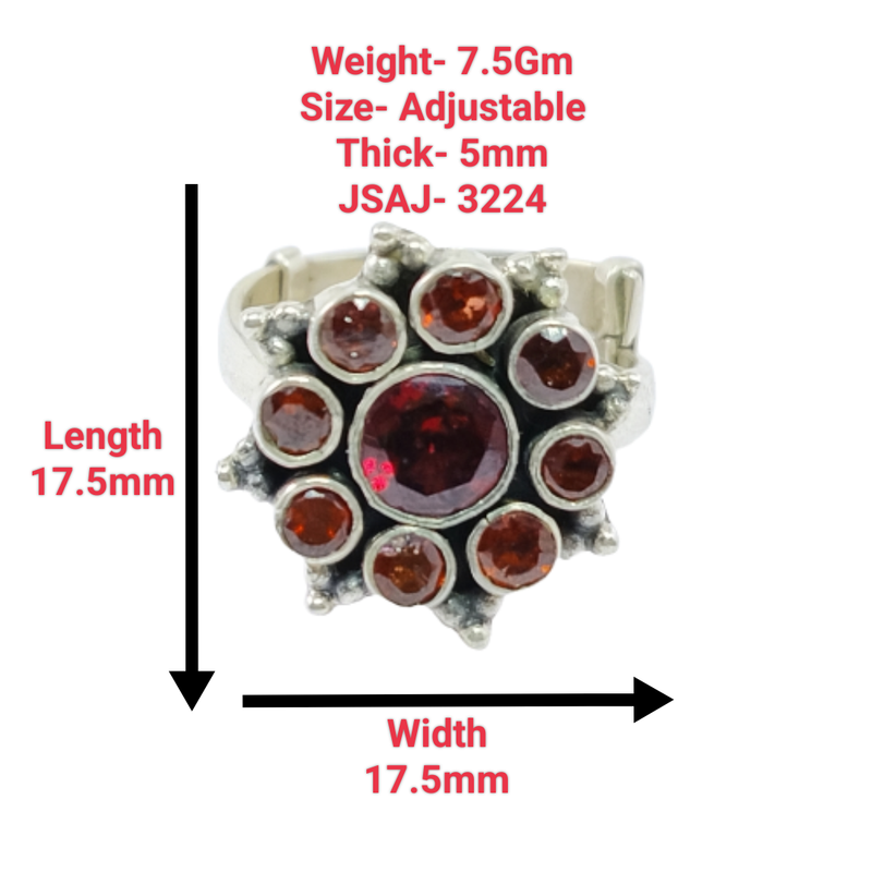 3224 Garnet