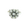 3233 Pearl