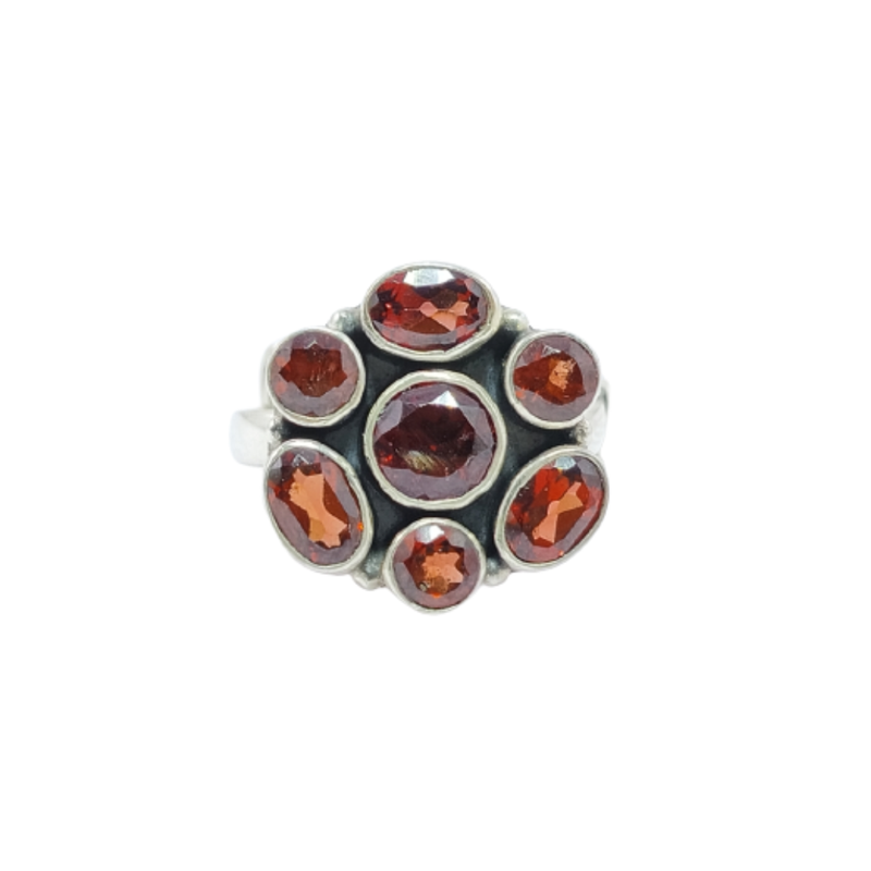 3290 GARNET