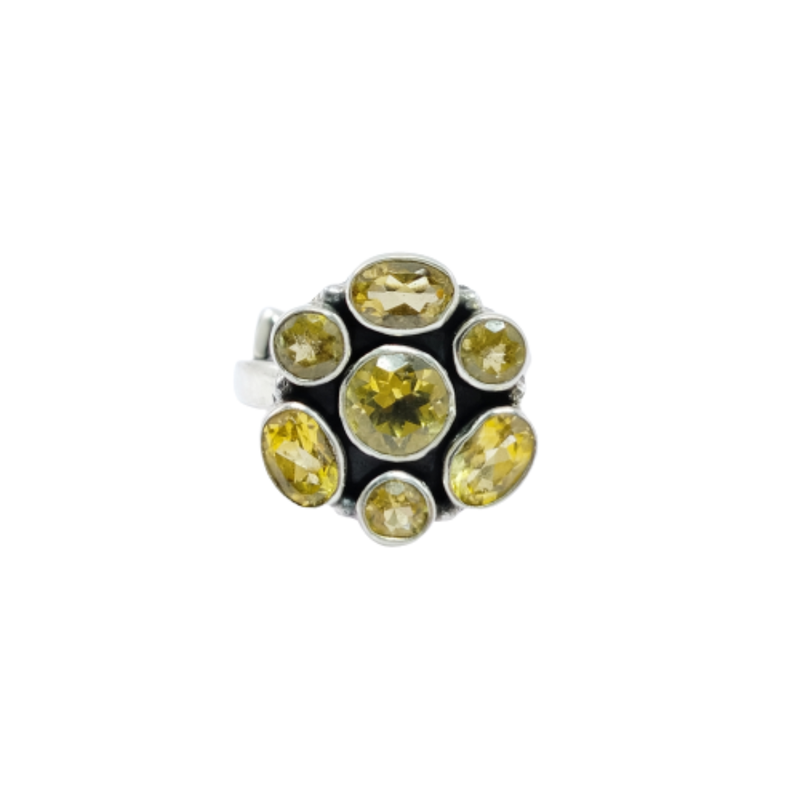 3295 CITRINE
