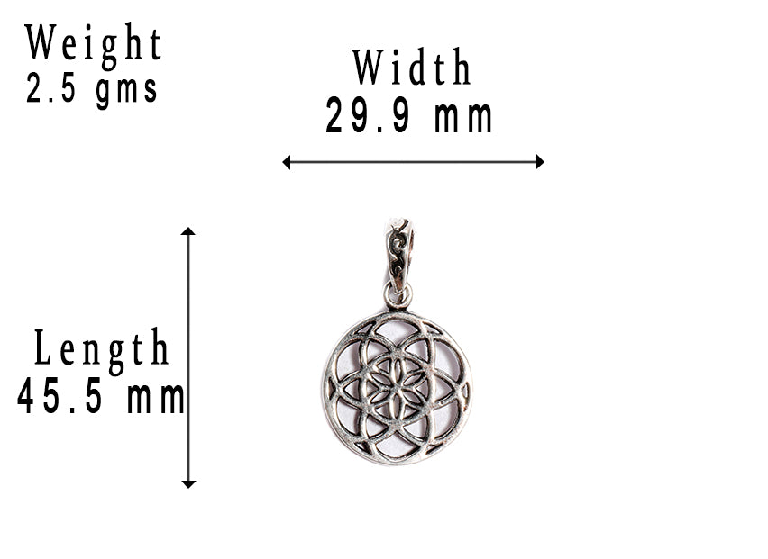 JSAJ Silver 925 Sterling Silver JAALI N BOX CIRLCE PENDENT WITH UNIQUE DESIGN IN SMALL SIZE UNISEX PENDENT
