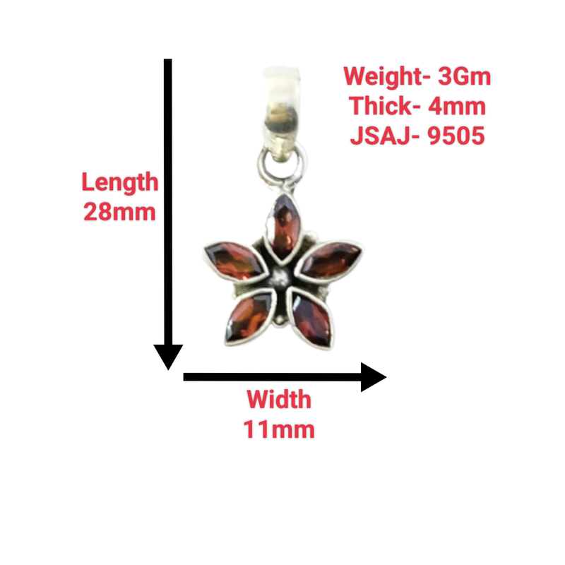 9505 Garnet